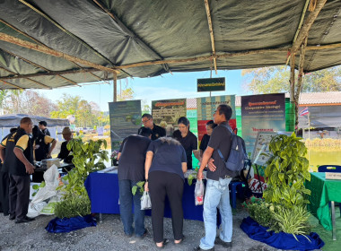 งานวันดินโลก 5 ธันวาคม ประจำปี 2568 พารามิเตอร์รูปภาพ 6