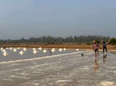 ติดตามคาดการณ์สถานการณ์เกลือทะเล ... พารามิเตอร์รูปภาพ 6