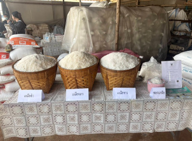 ติดตามคาดการณ์สถานการณ์เกลือทะเล ... พารามิเตอร์รูปภาพ 3