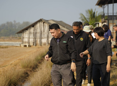 ติดตามคาดการณ์สถานการณ์เกลือทะเล ... พารามิเตอร์รูปภาพ 5