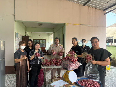 รกระจายหอมแดงสดจากสมาชิกสหกรณ์และเกษตรกรในจังหวัดศรีสะเกษ พารามิเตอร์รูปภาพ 1