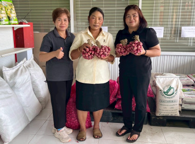 รกระจายหอมแดงสดจากสมาชิกสหกรณ์และเกษตรกรในจังหวัดศรีสะเกษ พารามิเตอร์รูปภาพ 1
