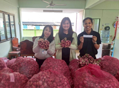 รกระจายหอมแดงสดจากสมาชิกสหกรณ์และเกษตรกรในจังหวัดศรีสะเกษ พารามิเตอร์รูปภาพ 2