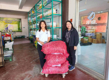 รกระจายหอมแดงสดจากสมาชิกสหกรณ์และเกษตรกรในจังหวัดศรีสะเกษ พารามิเตอร์รูปภาพ 3