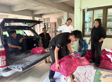 รกระจายหอมแดงสดจากสมาชิกสหกรณ์และเกษตรกรในจังหวัดศรีสะเกษ พารามิเตอร์รูปภาพ 7