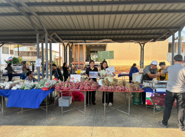 รกระจายหอมแดงสดจากสมาชิกสหกรณ์และเกษตรกรในจังหวัดศรีสะเกษ พารามิเตอร์รูปภาพ 8