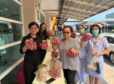 รกระจายหอมแดงสดจากสมาชิกสหกรณ์และเกษตรกรในจังหวัดศรีสะเกษ พารามิเตอร์รูปภาพ 9
