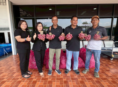 รกระจายหอมแดงสดจากสมาชิกสหกรณ์และเกษตรกรในจังหวัดศรีสะเกษ พารามิเตอร์รูปภาพ 13