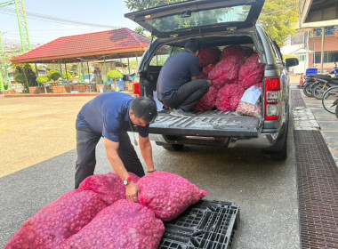 รกระจายหอมแดงสดจากสมาชิกสหกรณ์และเกษตรกรในจังหวัดศรีสะเกษ พารามิเตอร์รูปภาพ 15