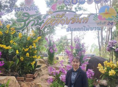 พิธีเปิดงาน “ราชมงคลรักษ์เหลืองจันท์ วันดอกไม้บาน” ครั้งที่ ... พารามิเตอร์รูปภาพ 1