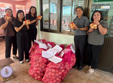 รับมอบและกระจายผลผลิตหอมหัวใหญ่จากสมาชิกสหกรณ์และเกษตรกรจังหวัดเชียงใหม่ ... พารามิเตอร์รูปภาพ 2