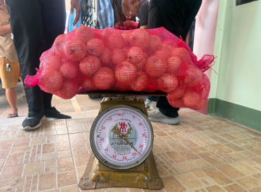 รับมอบและกระจายผลผลิตหอมหัวใหญ่จากสมาชิกสหกรณ์และเกษตรกรจังหวัดเชียงใหม่ ... พารามิเตอร์รูปภาพ 4