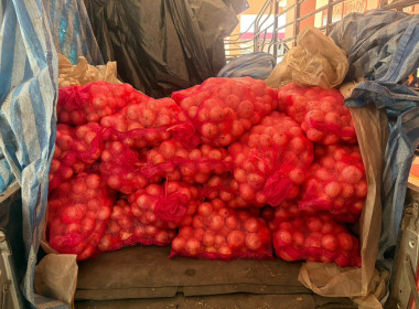 รับมอบและกระจายผลผลิตหอมหัวใหญ่จากสมาชิกสหกรณ์และเกษตรกรจังหวัดเชียงใหม่ ... พารามิเตอร์รูปภาพ 6