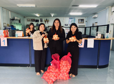 รับมอบและกระจายผลผลิตหอมหัวใหญ่จากสมาชิกสหกรณ์และเกษตรกรจังหวัดเชียงใหม่ ... พารามิเตอร์รูปภาพ 7