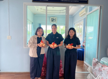 รับมอบและกระจายผลผลิตหอมหัวใหญ่จากสมาชิกสหกรณ์และเกษตรกรจังหวัดเชียงใหม่ ... พารามิเตอร์รูปภาพ 8