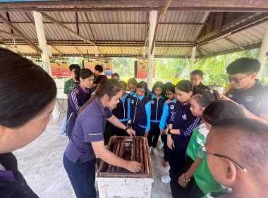 โครงการทัศนศึกษาดูงานเพื่อเสริมสร้างประสบการณ์ให้กับนักเรียน ครู และผู้เกี่ยวข้อง ปีงบประมาณ พ.ศ. 2569 ... พารามิเตอร์รูปภาพ 15