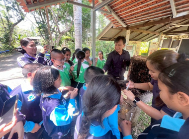 โครงการทัศนศึกษาดูงานเพื่อเสริมสร้างประสบการณ์ให้กับนักเรียน ครู และผู้เกี่ยวข้อง ปีงบประมาณ พ.ศ. 2569 ... พารามิเตอร์รูปภาพ 16