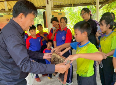 โครงการทัศนศึกษาดูงานเพื่อเสริมสร้างประสบการณ์ให้กับนักเรียน ครู และผู้เกี่ยวข้อง ปีงบประมาณ พ.ศ. 2569 ... พารามิเตอร์รูปภาพ 23