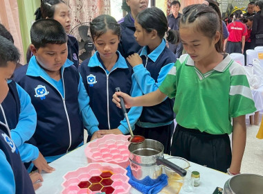 โครงการทัศนศึกษาดูงานเพื่อเสริมสร้างประสบการณ์ให้กับนักเรียน ครู และผู้เกี่ยวข้อง ปีงบประมาณ พ.ศ. 2569 ... พารามิเตอร์รูปภาพ 21