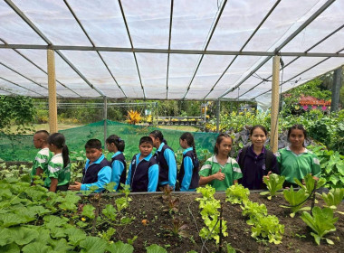 โครงการทัศนศึกษาดูงานเพื่อเสริมสร้างประสบการณ์ให้กับนักเรียน ครู และผู้เกี่ยวข้อง ปีงบประมาณ พ.ศ. 2569 ... พารามิเตอร์รูปภาพ 14