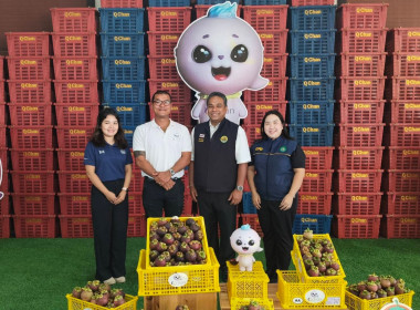 งาน Kick Off Q Chan 2569 : มังคุดไทยมาตรฐาน Q Chan ... พารามิเตอร์รูปภาพ 13