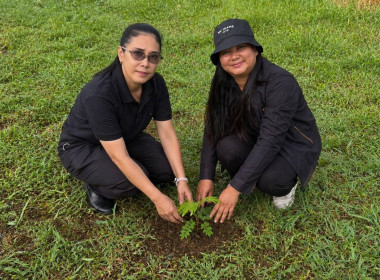 โครงการบูรณาการปลูกต้นฝาง ลดโลกร้อน สร้างสิ่งแวดล้อมยั่งยืน พารามิเตอร์รูปภาพ 4