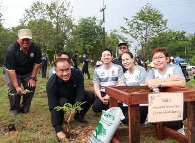 โครงการบูรณาการปลูกต้นฝาง ลดโลกร้อน สร้างสิ่งแวดล้อมยั่งยืน พารามิเตอร์รูปภาพ 6