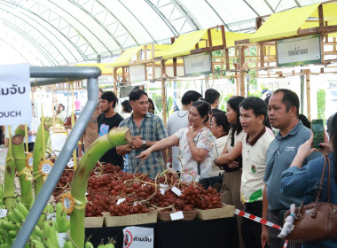 สรวงสวรรค์แห่งผลไม้เมืองร้อน ปี 2569 (Chanthaburi Paradise ... พารามิเตอร์รูปภาพ 16