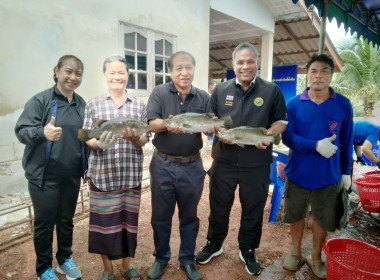 รัฐร่วมเอกชน ผนึกกำลังพลิกฟื้นการเลี้ยงสัตว์น้ำ ... พารามิเตอร์รูปภาพ 4