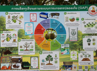 ร่วมต้อนรับรัฐมนตรีว่าการกระทรวงเกษตรและสหกรณ์ พร้อมด้วย ... พารามิเตอร์รูปภาพ 45