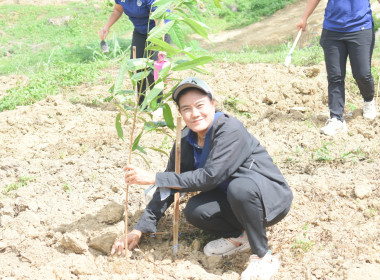 กิจกรรมปลูกต้นไม้เนื่องใน “วันต้นไม้ประจำปีของชาติ ประจำปี ... พารามิเตอร์รูปภาพ 13