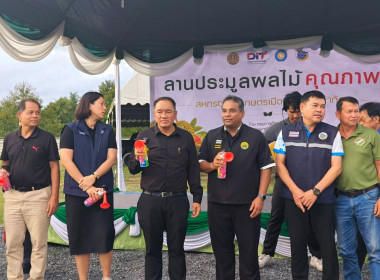 พิธีเปิดลานประมูลผลไม้ พารามิเตอร์รูปภาพ 18