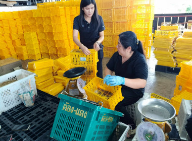แนะนำ ส่งเสริม ... พารามิเตอร์รูปภาพ 3