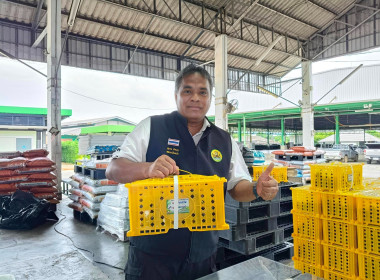 แนะนำ ส่งเสริม ... พารามิเตอร์รูปภาพ 11