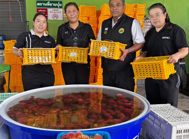 แนะนำ ส่งเสริม ... พารามิเตอร์รูปภาพ 7