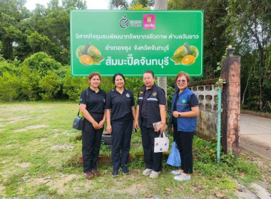 โครงการต้นกล้ารุ่นใหม่ ร่วมพัฒนาพื้นที่คทช. พารามิเตอร์รูปภาพ 6