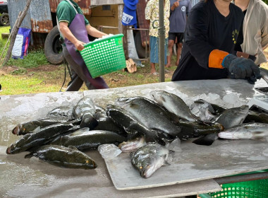 ร่วมบูรณาการความร่วมมือการพลิกฟื้นการเลี้ยงสัตว์น้ำของเกษตรกรสมาชิกกลุ่มแปรรูปผลิตภัณฑ์สัตว์น้ำคุ้งกระเบน สหกรณ์ประมงคุ้งกระเบน จำกัด ... พารามิเตอร์รูปภาพ 6