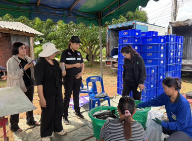 ร่วมบูรณาการความร่วมมือการพลิกฟื้นการเลี้ยงสัตว์น้ำของเกษตรกรสมาชิกกลุ่มแปรรูปผลิตภัณฑ์สัตว์น้ำคุ้งกระเบน สหกรณ์ประมงคุ้งกระเบน จำกัด ... พารามิเตอร์รูปภาพ 2