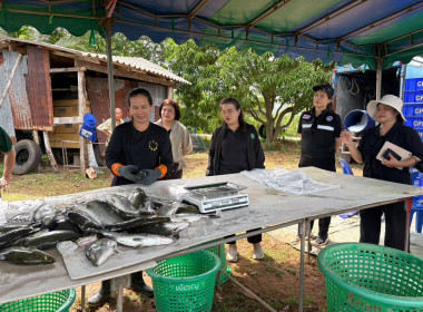ร่วมบูรณาการความร่วมมือการพลิกฟื้นการเลี้ยงสัตว์น้ำของเกษตรกรสมาชิกกลุ่มแปรรูปผลิตภัณฑ์สัตว์น้ำคุ้งกระเบน สหกรณ์ประมงคุ้งกระเบน จำกัด ... พารามิเตอร์รูปภาพ 5