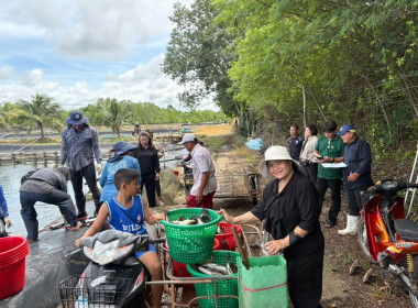 ร่วมบูรณาการความร่วมมือการพลิกฟื้นการเลี้ยงสัตว์น้ำของเกษตรกรสมาชิกกลุ่มแปรรูปผลิตภัณฑ์สัตว์น้ำคุ้งกระเบน สหกรณ์ประมงคุ้งกระเบน จำกัด ... พารามิเตอร์รูปภาพ 10