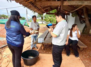 กิจกรรมต่อยอด Farm to Table ของสมาชิกสหกรณ์ประมงคุ้งกระเบน ... พารามิเตอร์รูปภาพ 2