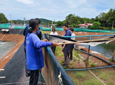 กิจกรรมต่อยอด Farm to Table ของสมาชิกสหกรณ์ประมงคุ้งกระเบน ... พารามิเตอร์รูปภาพ 4
