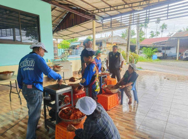 โครงการส่งเสริมและพัฒนาอาชีพเพื่อแก้ไขปัญหาที่ดินทำกินของเกษตรกร ภายใต้โครงการจัดที่ดินทำกินให้ชุมชนตามนโยบายรัฐบาล ประจำปีงบประมาณ พ.ศ. 2569 ... พารามิเตอร์รูปภาพ 3
