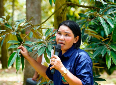 การคัดเลือกเกษตรกรดีเด่นระดับประเทศ สาขาอาชีพทำสวน ประจำปี ... พารามิเตอร์รูปภาพ 3