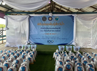 พิธีปล่อยพันธุ์สัตว์น้ำเนื่องในโอกาสวันประมงแห่งชาติ พารามิเตอร์รูปภาพ 14