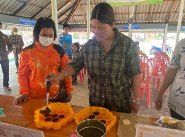 โครงการพัชรสุธา ... พารามิเตอร์รูปภาพ 5