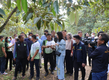 กิจกรรมการรณรงค์การบริโภคผลไม้คุณภาพภาคตะวันออกโดยกระจายสู่ตลาดภายในประเทศผ่านกลไกสหกรณ์ ... พารามิเตอร์รูปภาพ 12