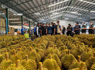 ติดตามสถานการณ์ และการบริหารจัดการผลไม้ภาคตะวันออก ณ ... พารามิเตอร์รูปภาพ 2