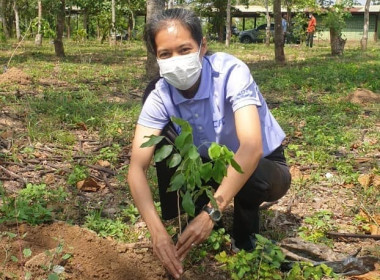 กิจกรรมวันต้นไม้ประจำปีของชาติ พ.ศ. 2566 พารามิเตอร์รูปภาพ 5