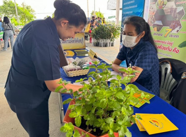 โครงการคลินิกเกษตรเคลื่อนที่ในพระราชานุเคราะห์สมเด็จพระบรมโอรสาธิราช ฯ สยามมกุฎราชกุมาร ... พารามิเตอร์รูปภาพ 1